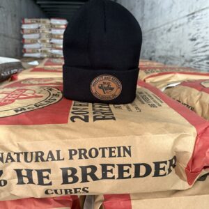 Big V leather patch beanie