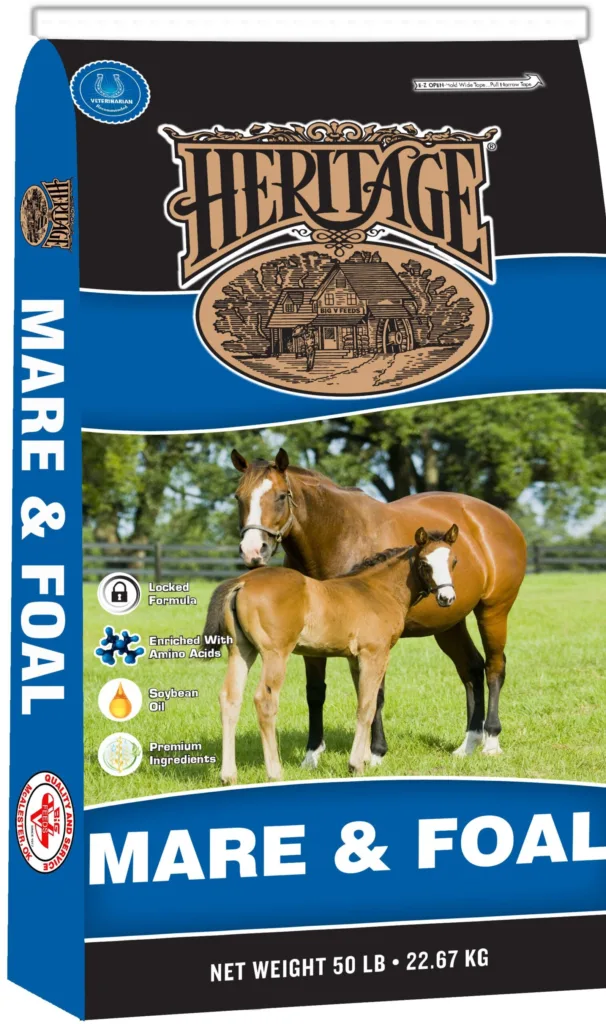 16% Heritage Mare & Foal