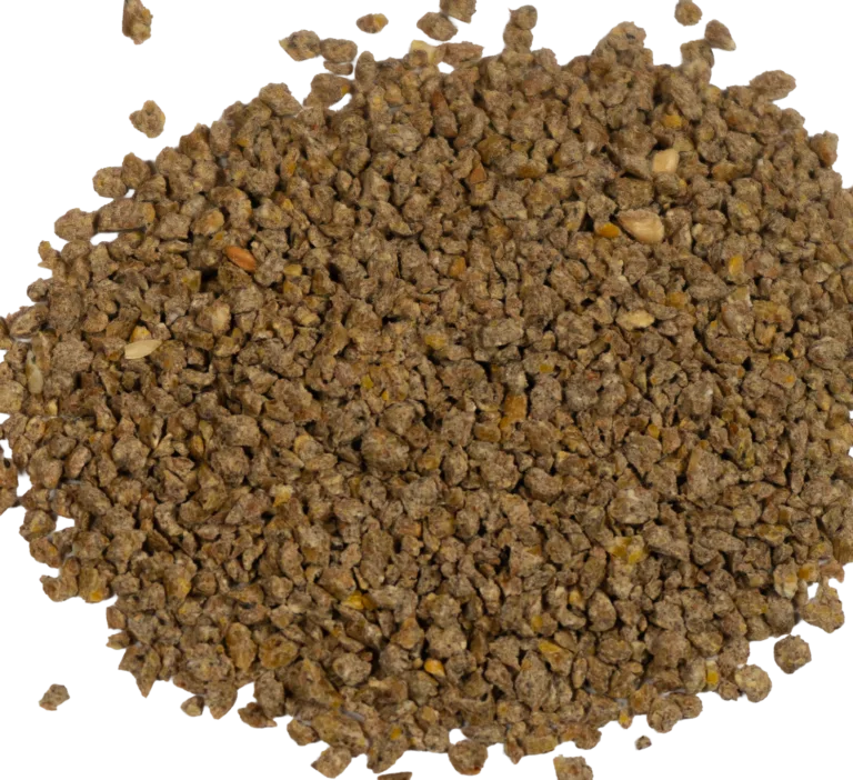 BIG V ALLWAY KERNELS 25# feed