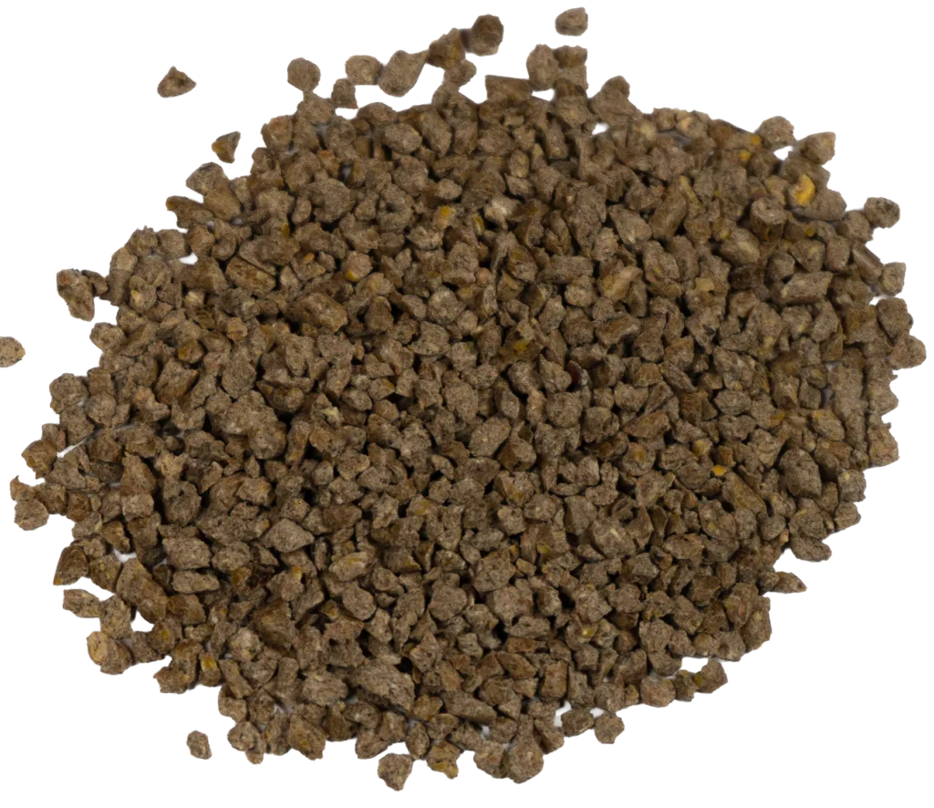 BIG V 20% COMPLETE EGG KERNEL feed