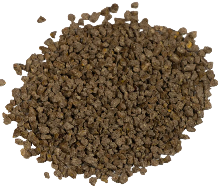 BIG V 20% COMPLETE EGG KERNEL feed