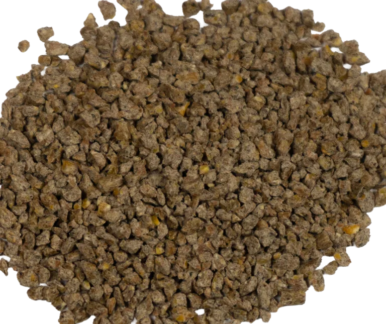 BIG V 16% EGG KERNELS feed