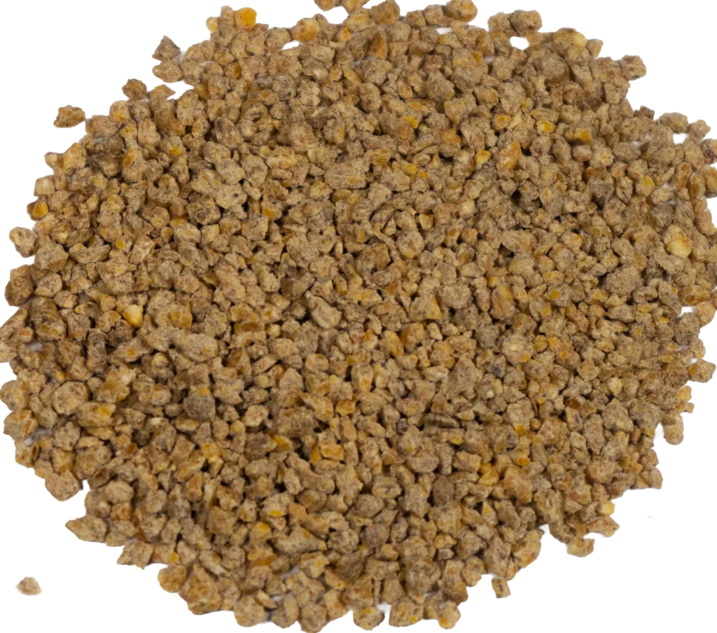 BIG V 22.5% SHOW BROILER KRUMBLES (MEDICATED) feed