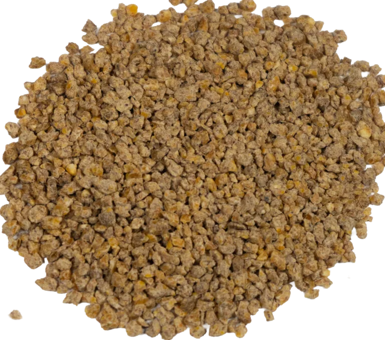 BIG V 22.5% SHOW BROILER KRUMBLES (MEDICATED) feed