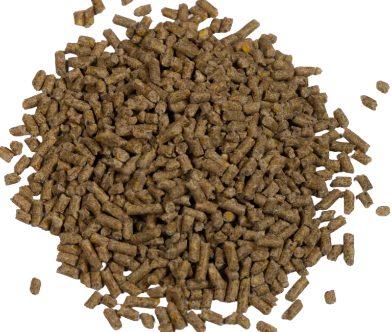 GAME BIRD BREEDER PELLETS feed
