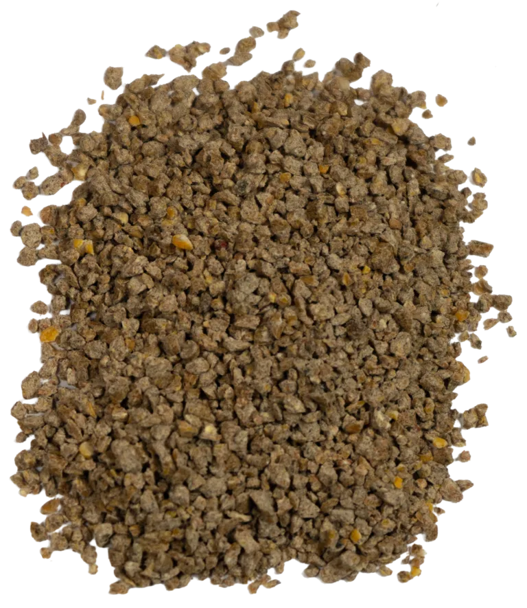 BIG V STARTER/GROWER (MEDICATED) feed