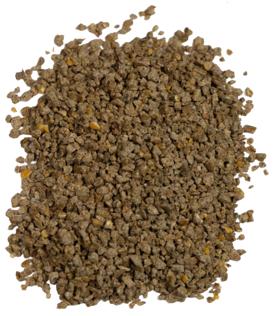 BIG V STARTER/GROWER (MEDICATED) feed