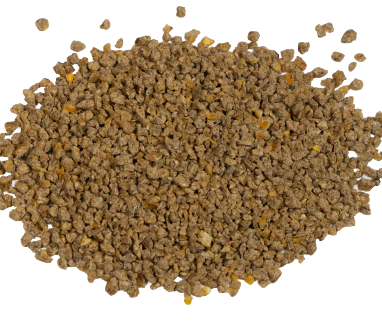 GAME BIRD STARTER KERNELS(MEDICATED) feed