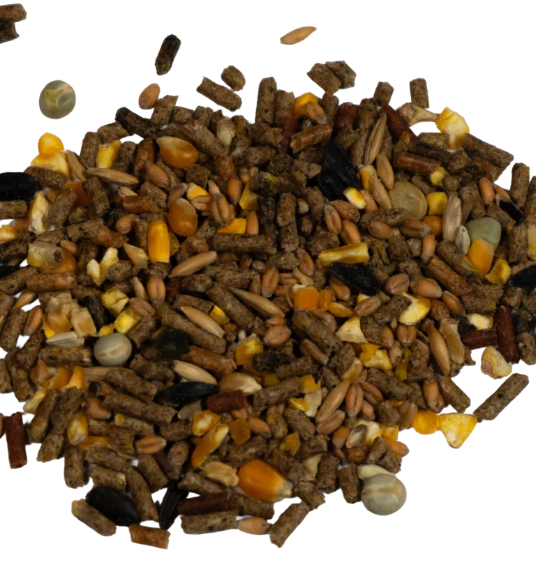 POULTRY MAXIMIZER feed