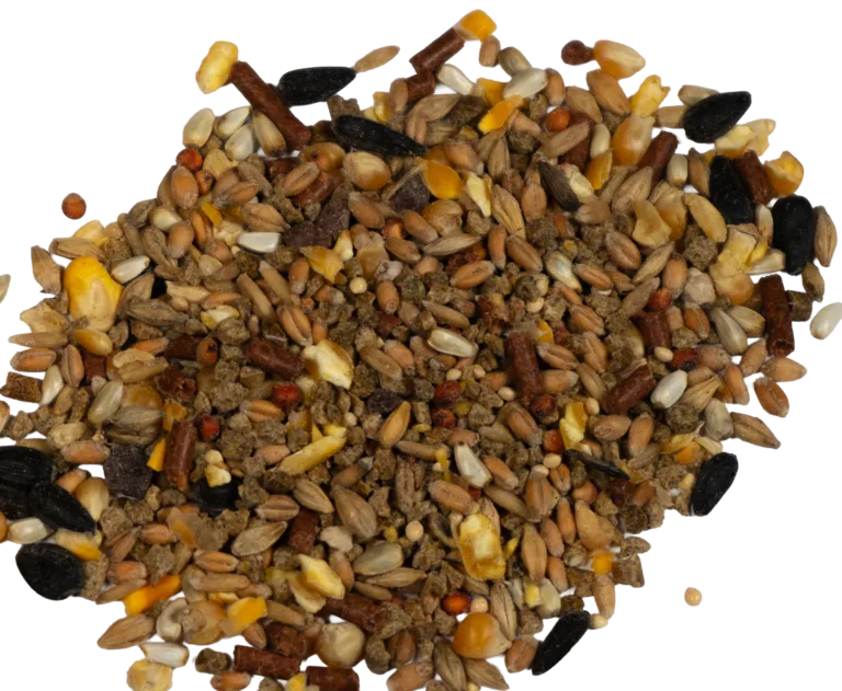 KRUMBLES “N” GRAIN 18% feed