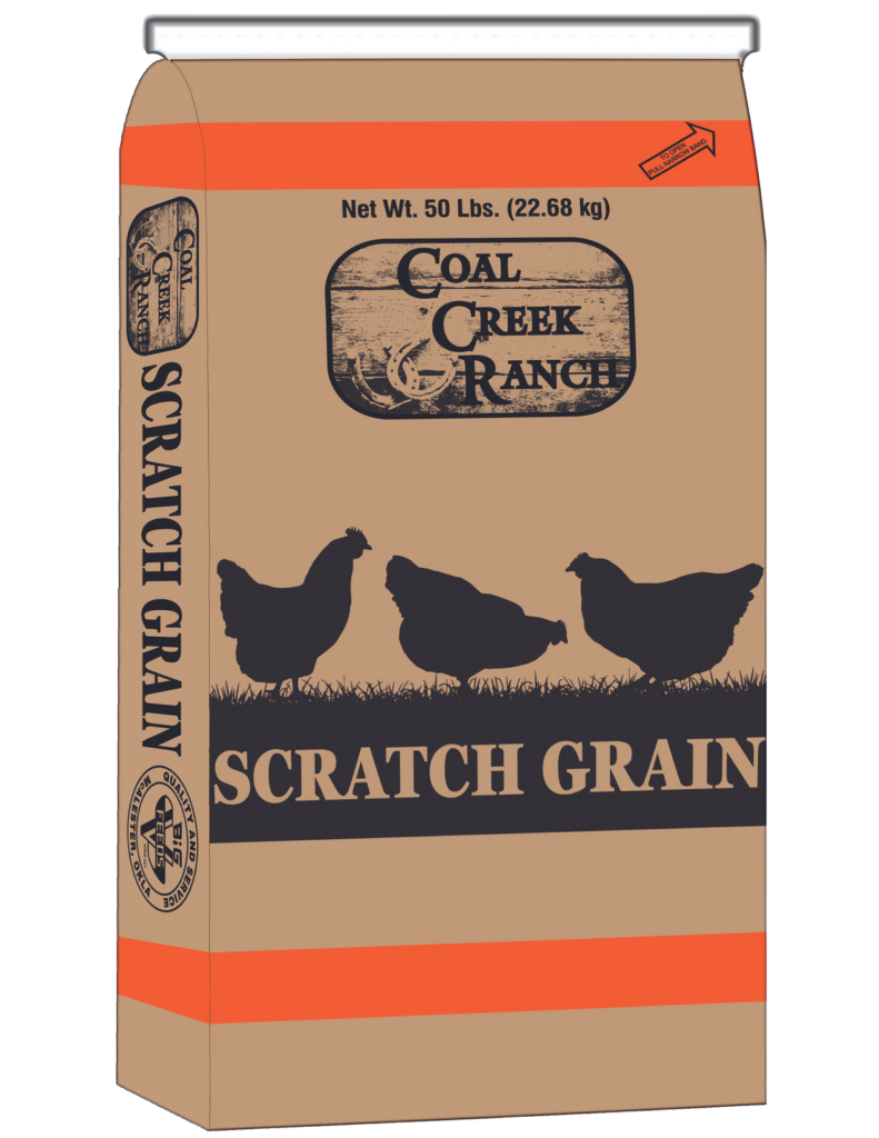 CCR 3 Grain Scratch