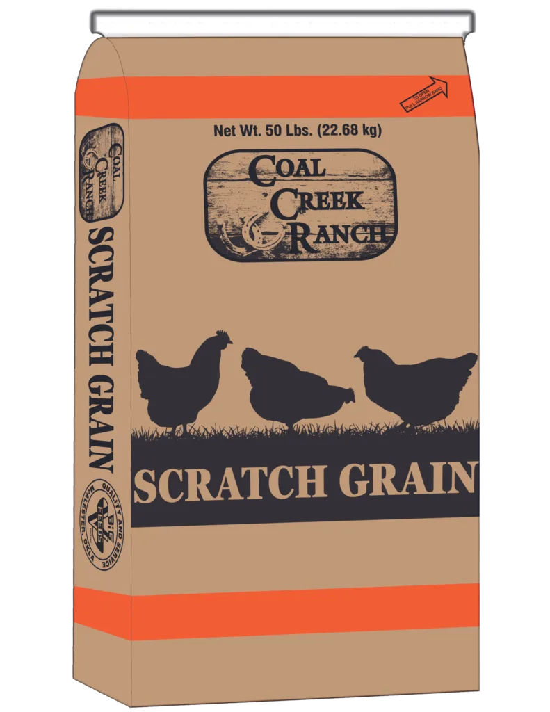 CCR 3 Grain Scratch