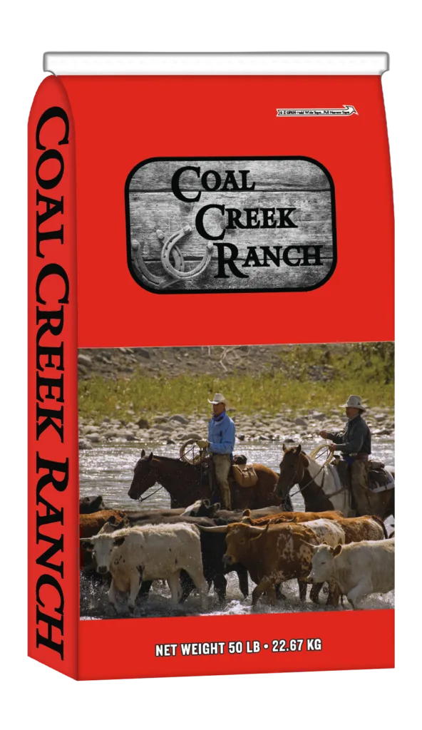 CCR 10% All-Stock Sweet Feed