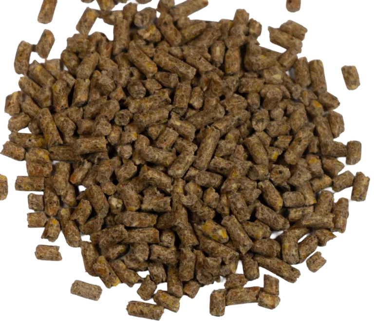 Big V 20% ALLWAY ALL FLOCK PELLET feed