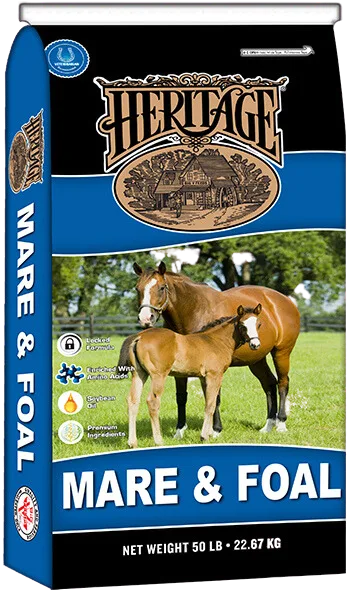 Heritage 16% Mare & Foal
