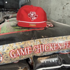 Big V Throwback logo hat