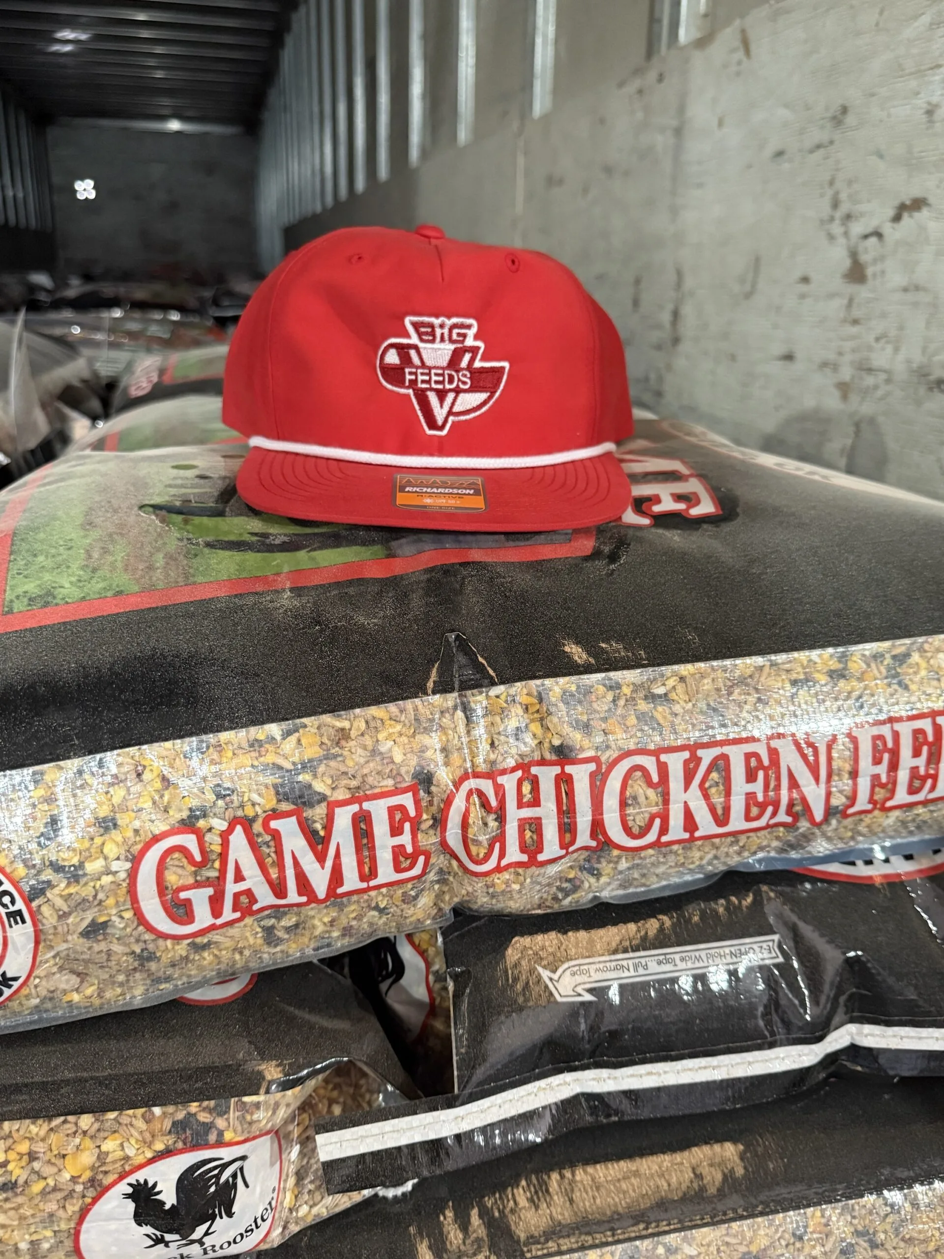 Big V Throwback logo hat