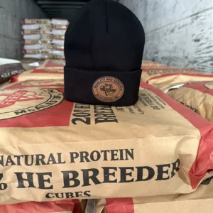 Big V leather patch beanie