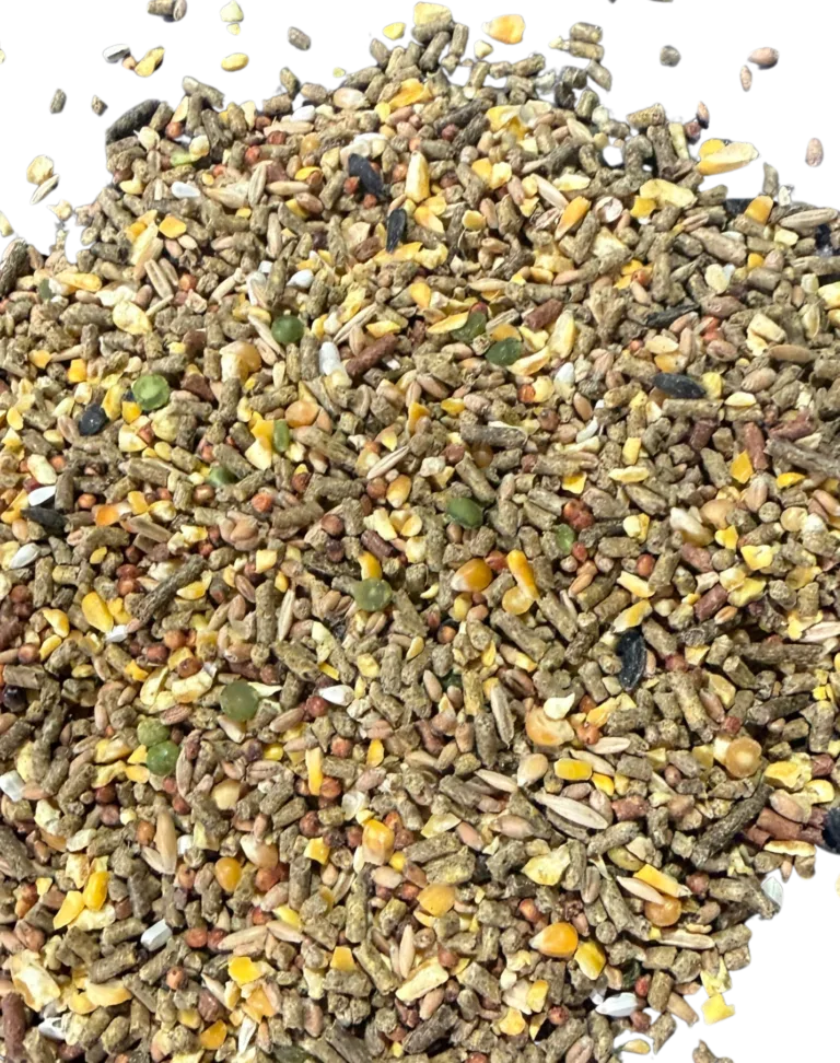 GAME COCK 60-40 feed