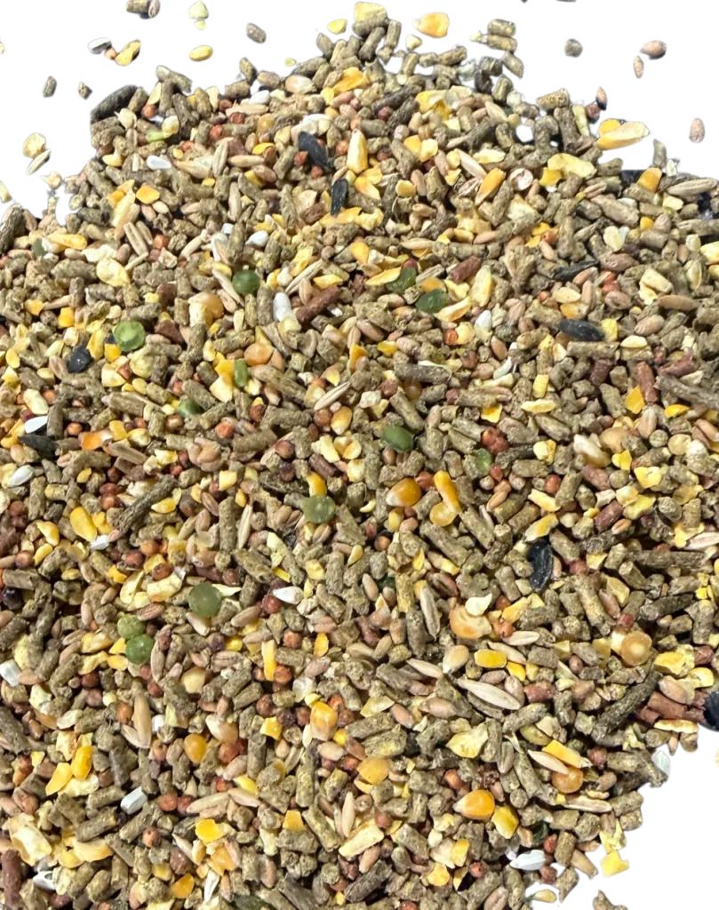 GAME COCK 60-40 feed