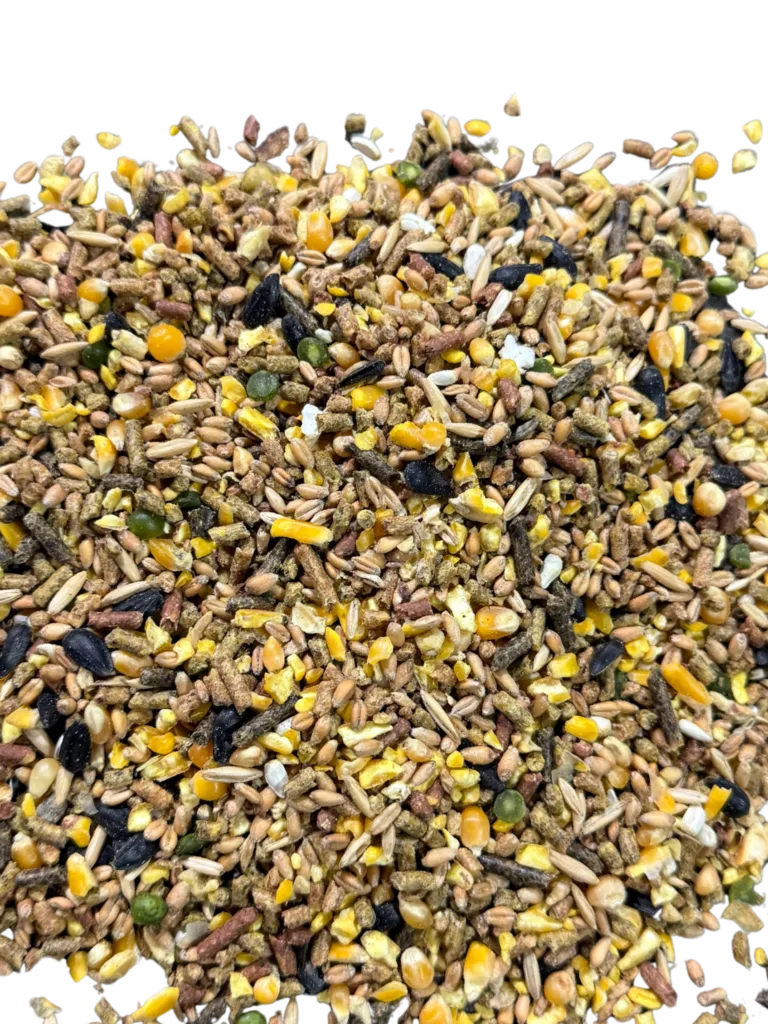 GAME COCK BREEDER / DEVELOPER FEED (RED ROOSTER) feed