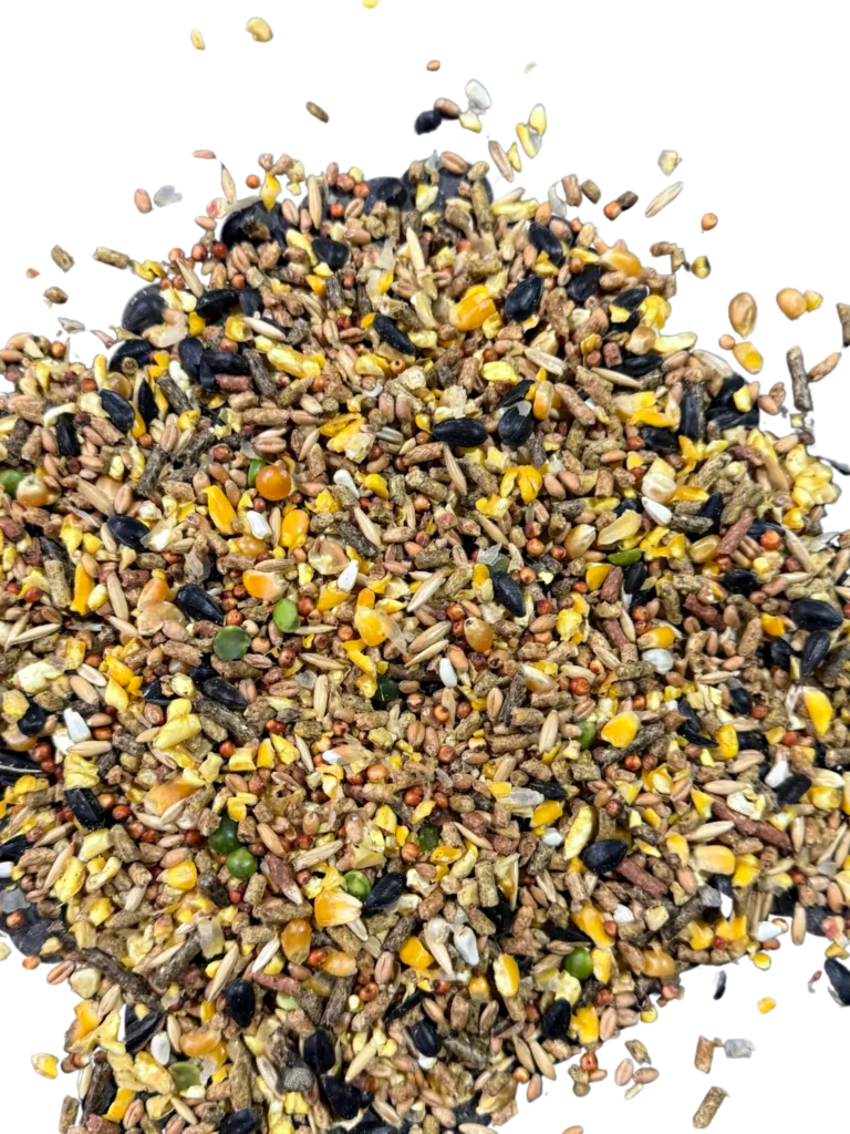 GAME COCK CONDITIONER feed