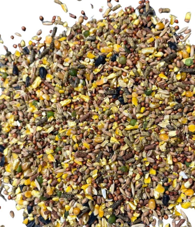 GAME COCK MAINTENANCE FEED (BLACK ROOSTER) feed