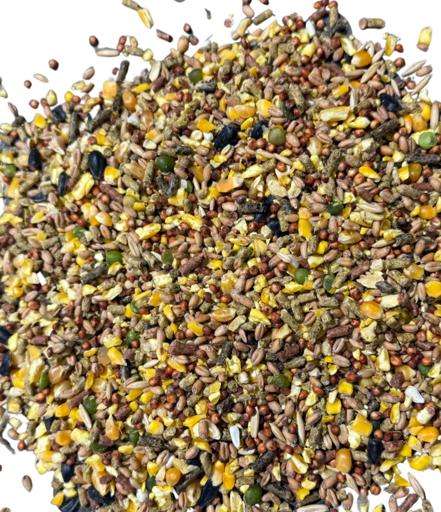 GAME COCK MAINTENANCE FEED (BLACK ROOSTER) feed