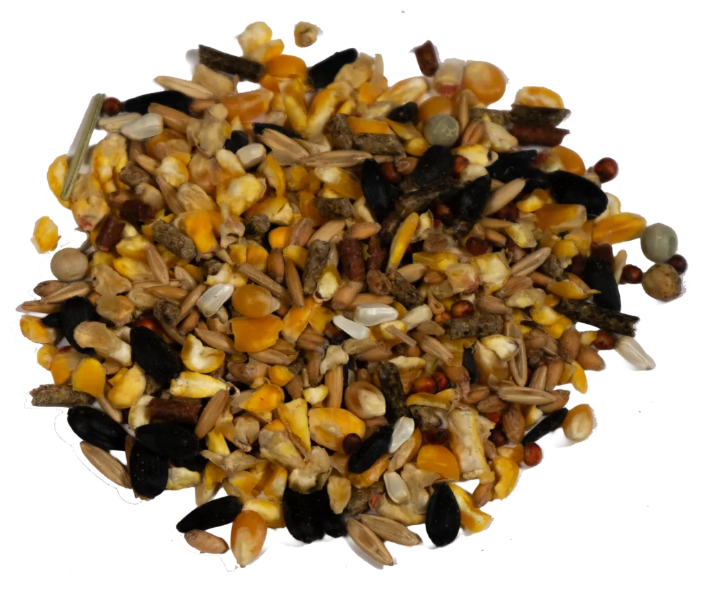 GAME COCK MAINTENANCE FEED (BLACK ROOSTER) feed