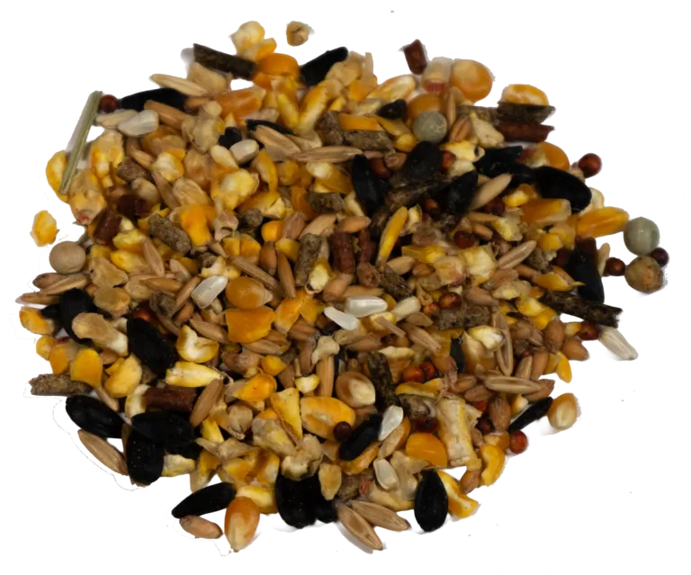 GAME COCK MAINTENANCE FEED (BLACK ROOSTER) feed