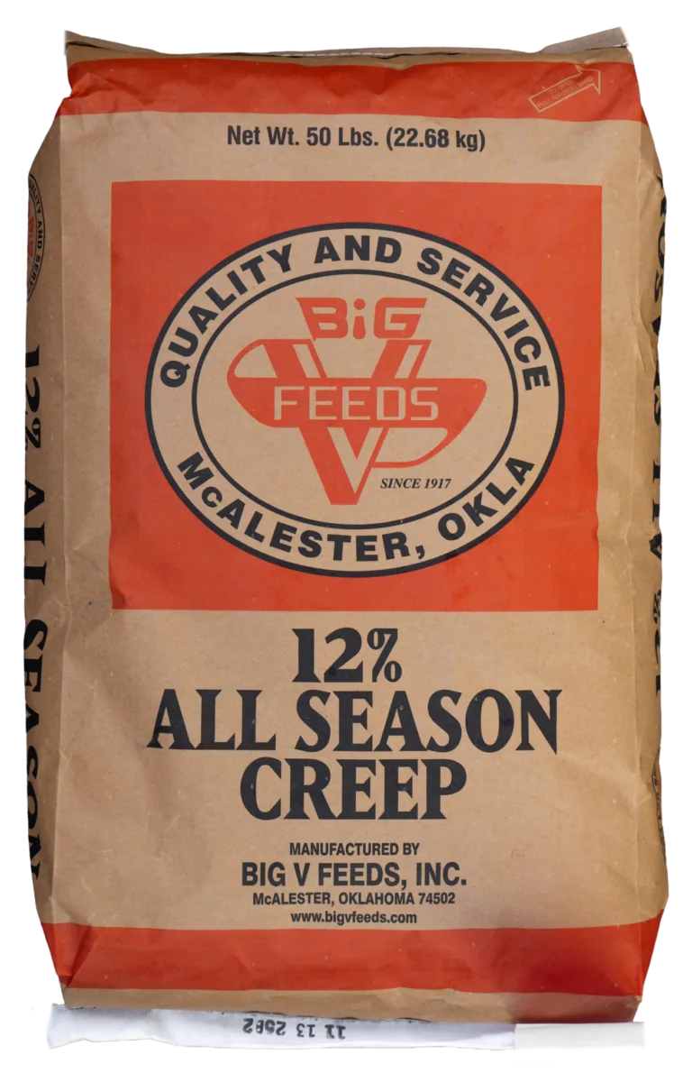 12allseasoncreep