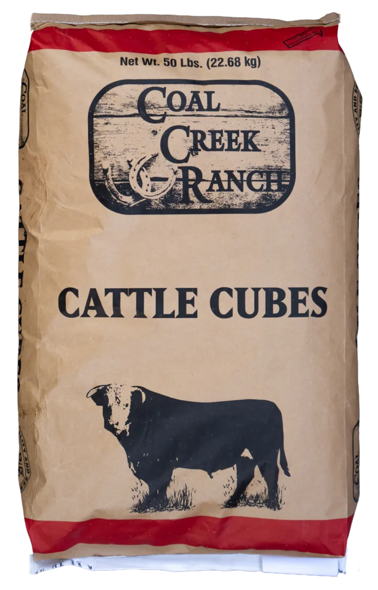 Cattlecubes