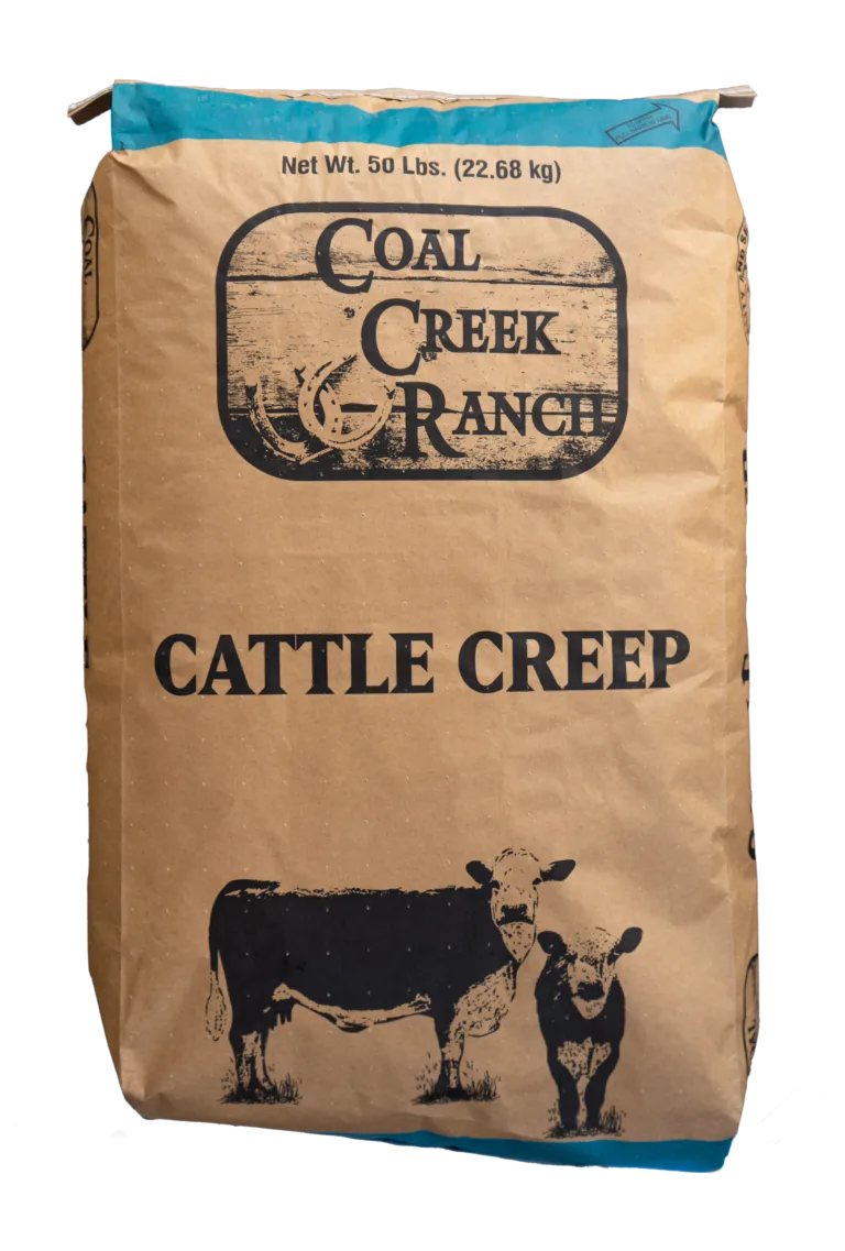 Coalcreekcattlecreep