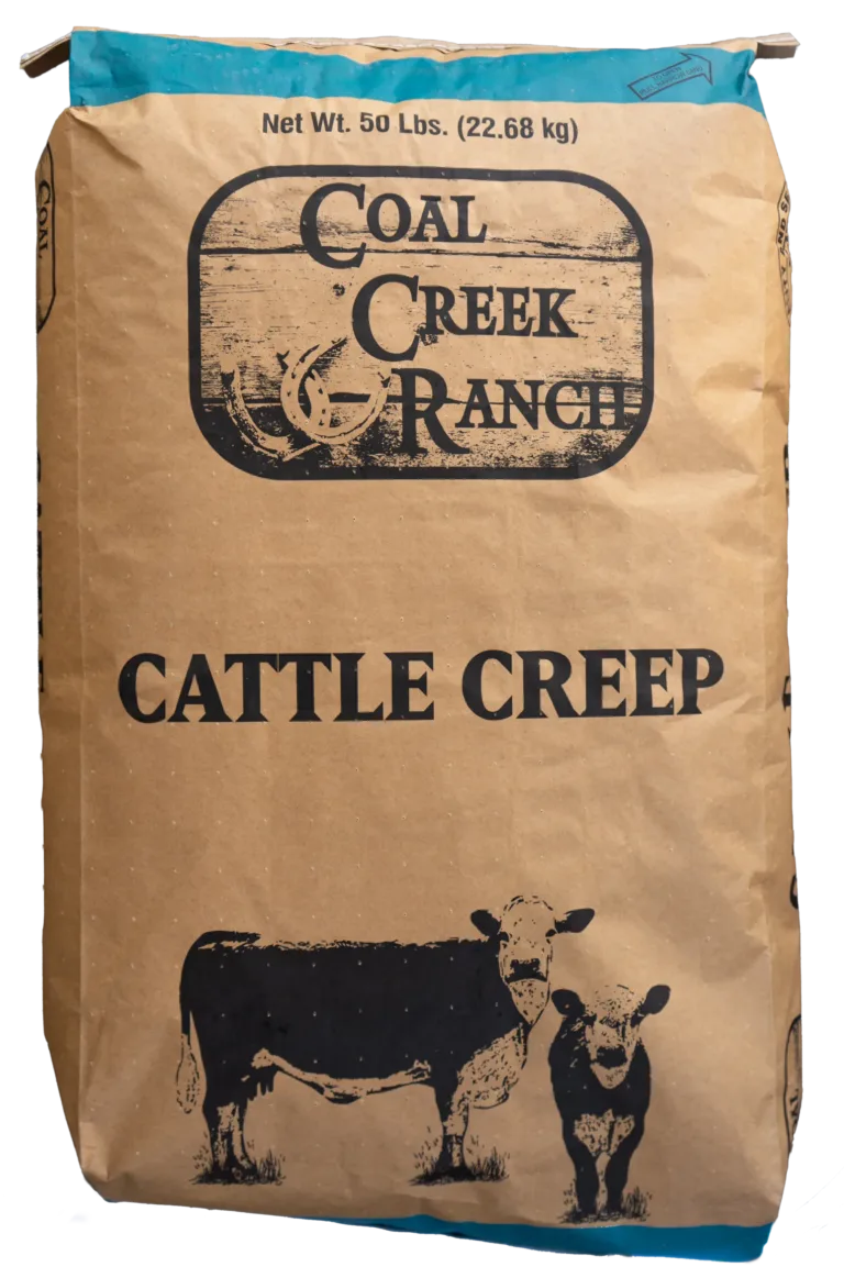 Coalcreekcattlecreep