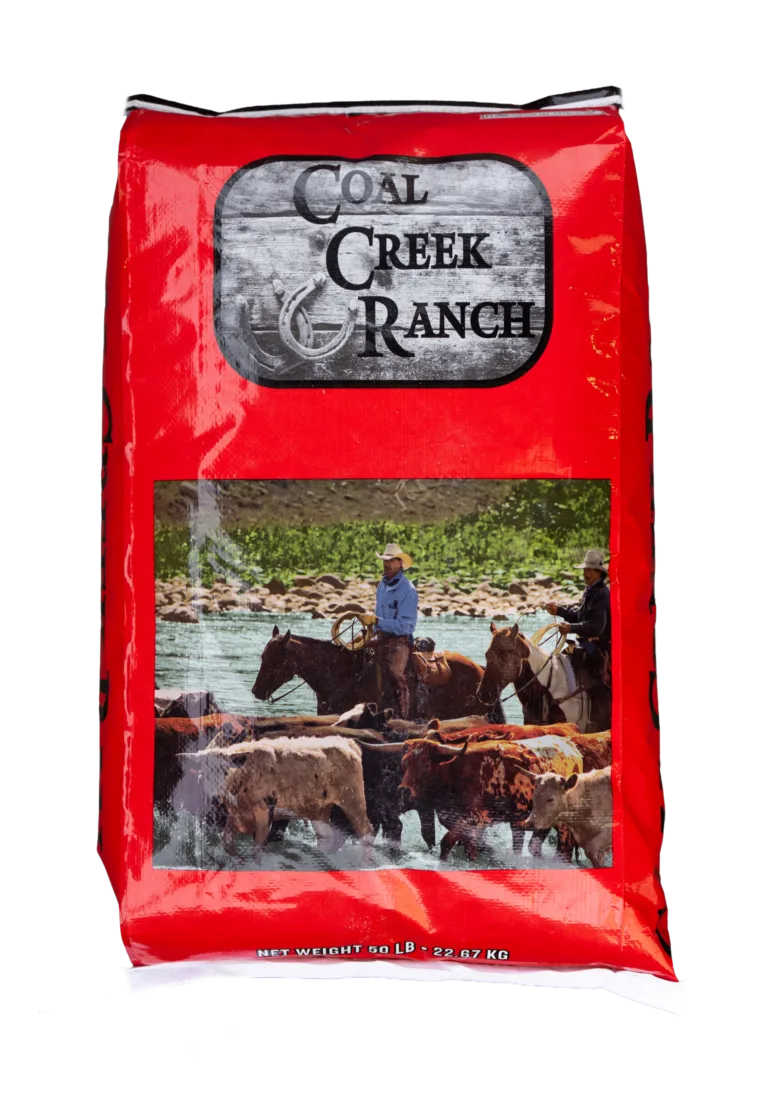 Coalcreekranch