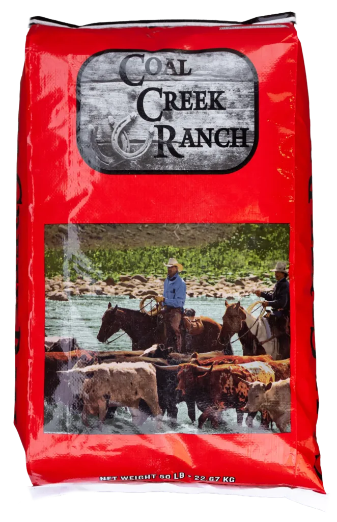 CCR 10% ALL-STOCK SWEET FEED