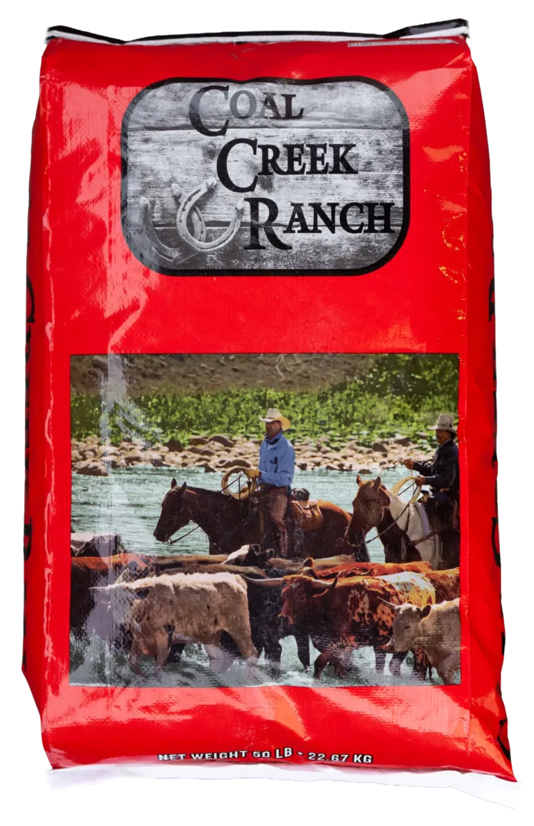Coalcreekranch