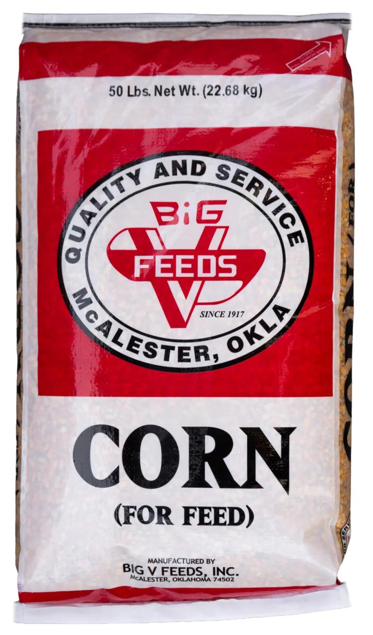 Corn
