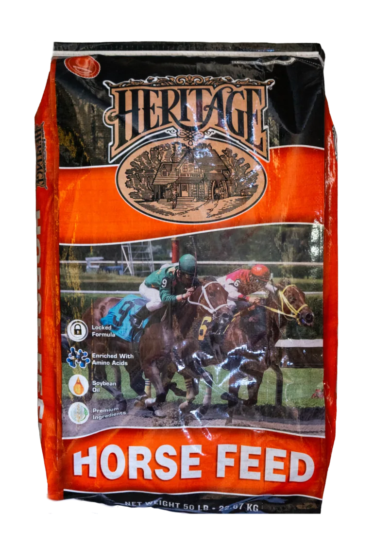Heritagehorsefeedorange