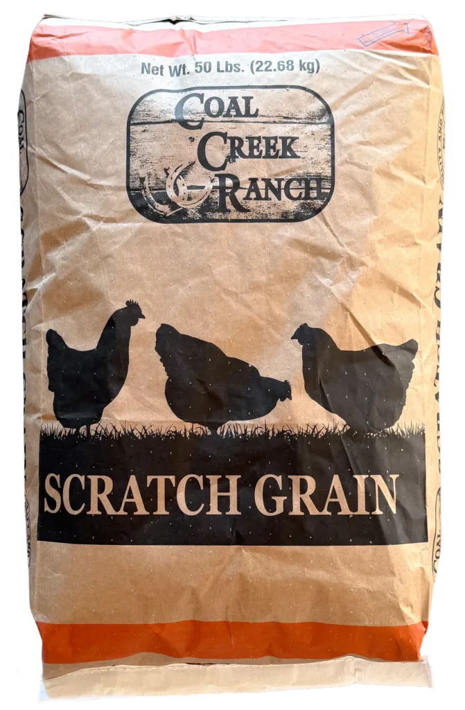 CCR 3 GRAIN SCRATCH