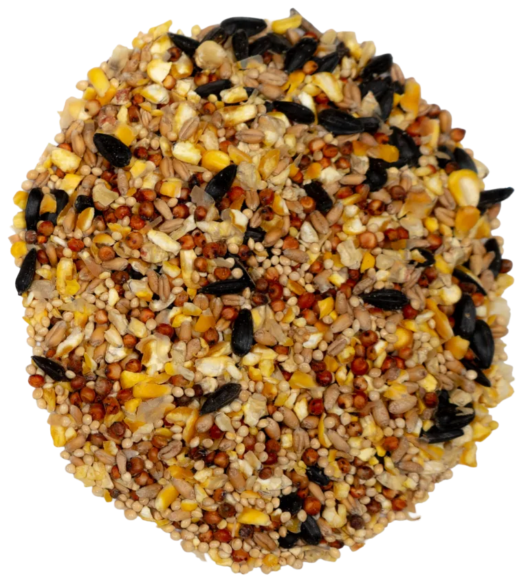 CHRISTINE’S BACKYARD BIRD BLEND feed