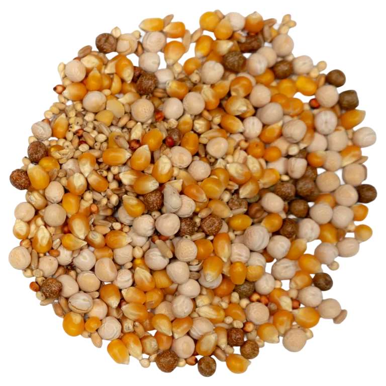 BROOKS PIGEON GRAIN feed