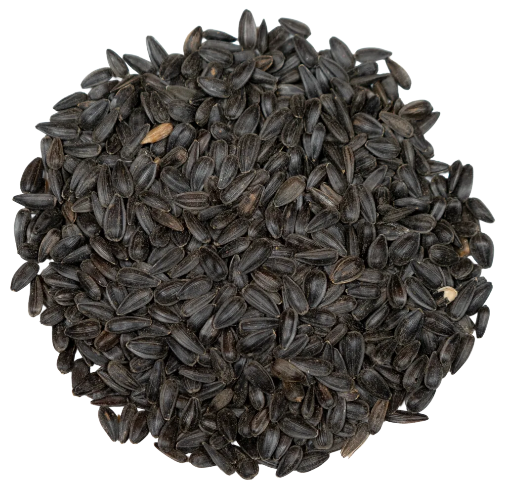 CHRISTINE’S BLACK OIL SUNFLOWER feed