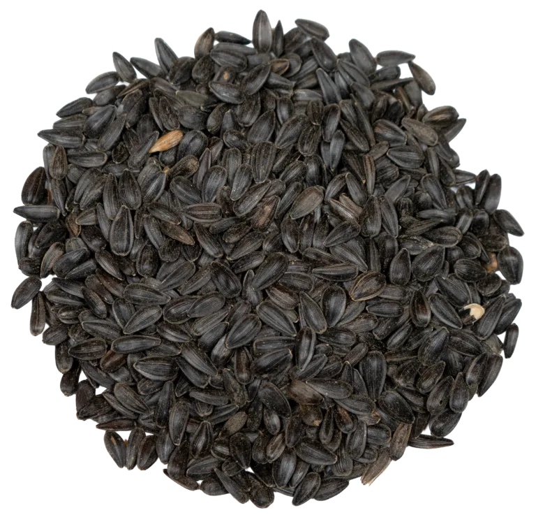 CHRISTINE’S BLACK OIL SUNFLOWER feed