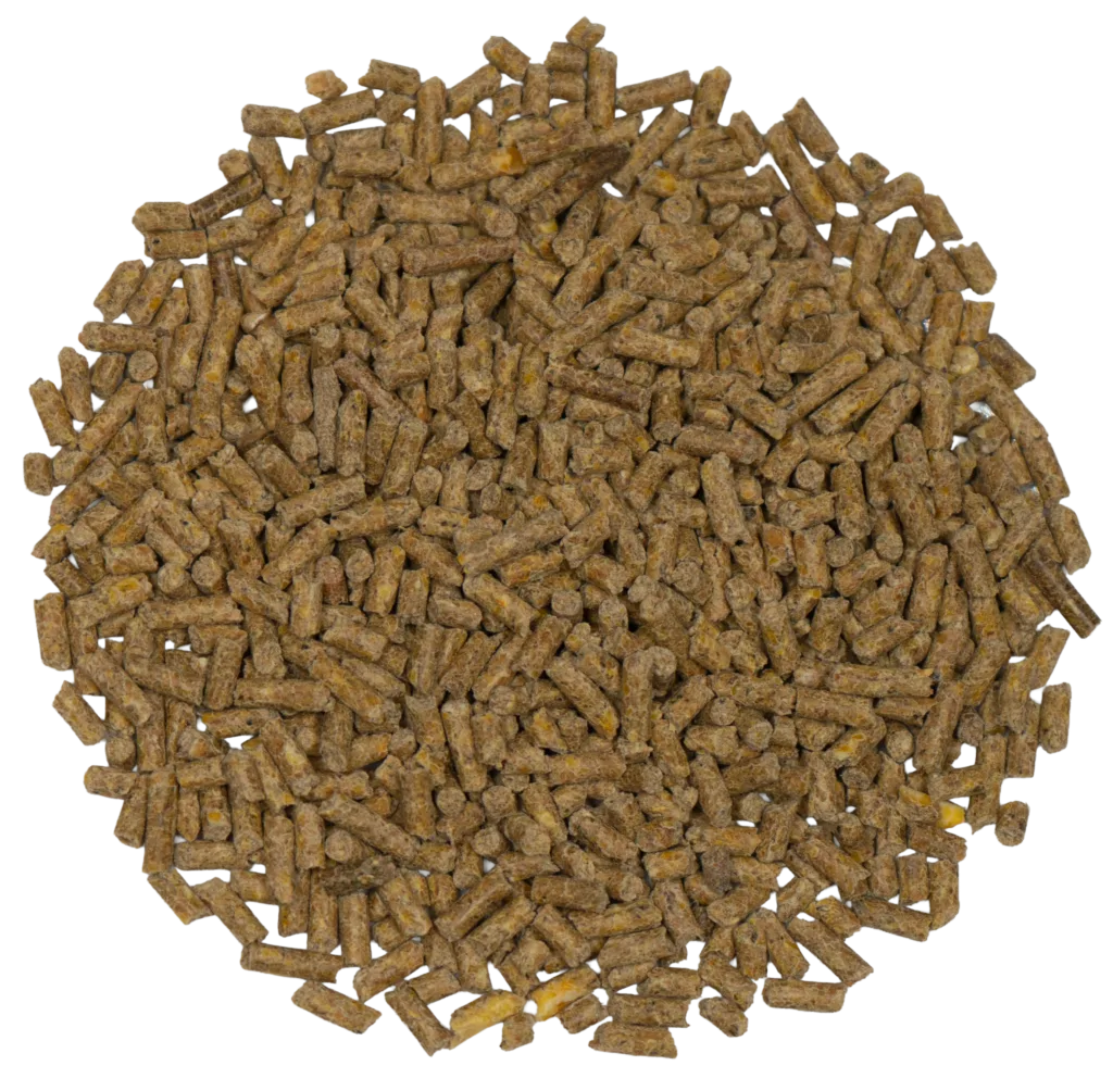 BIG V 20% HI-PRO EGG PELLETS feed