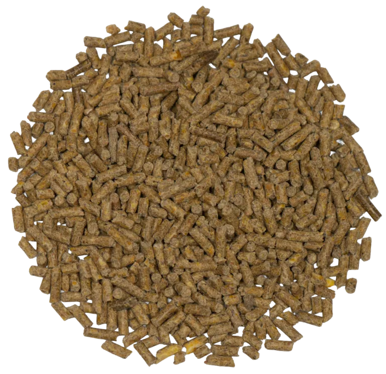 BIG V 20% HI-PRO EGG PELLETS feed