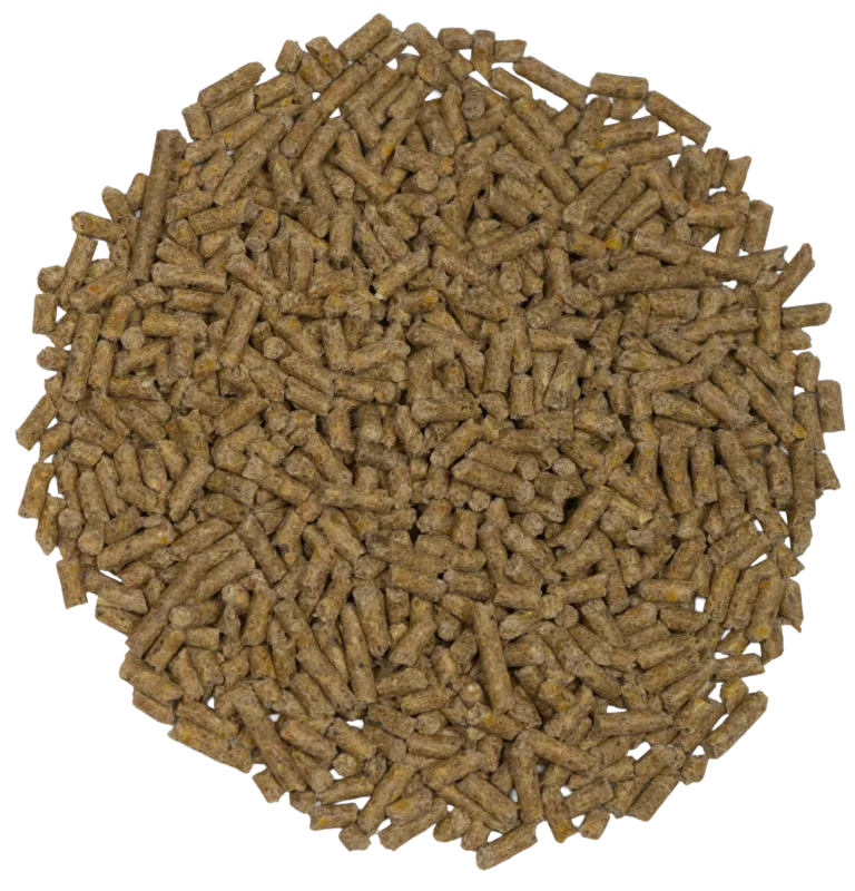 BIG V 16% EGG PELLETS feed