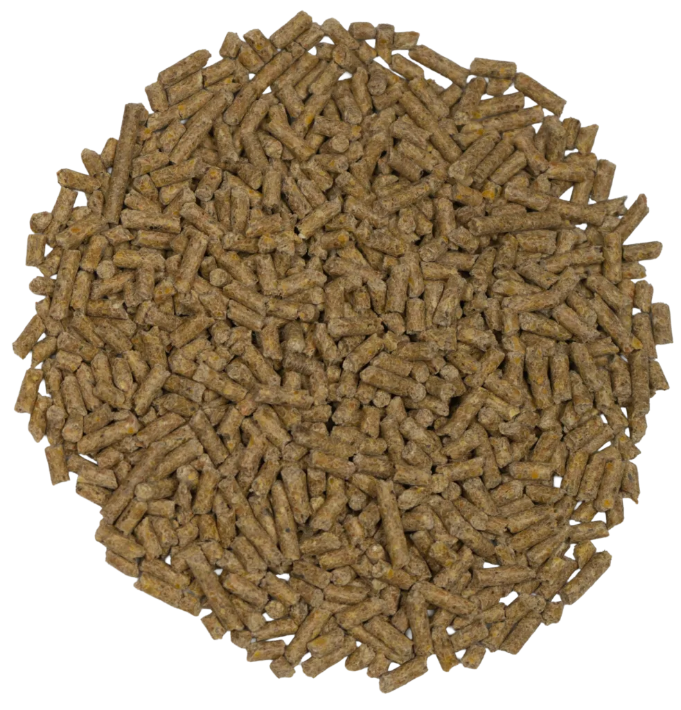 BIG V 16% EGG PELLETS feed
