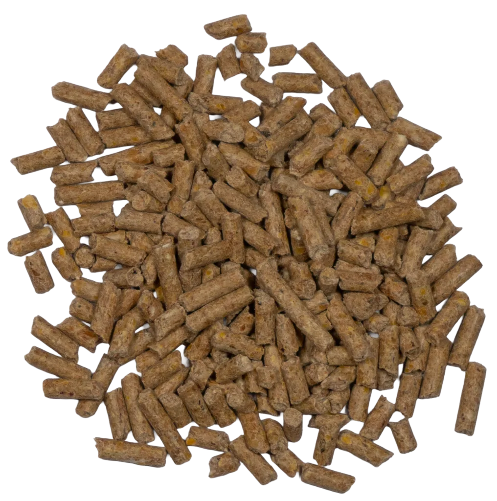CCR 16% LAY PELLETS feed