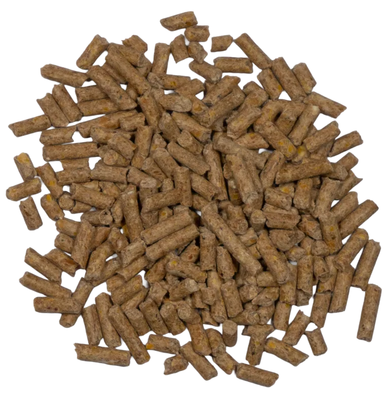 CCR 16% LAY PELLETS feed